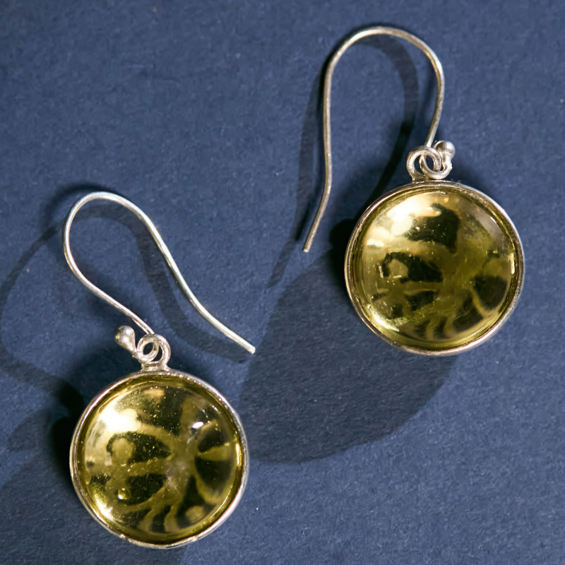 Premium citrine jewelry gift for her. Handcrafted 925 sterling silver earrings with genuine round citrine stones, elegantly displayed for birthdays, anniversaries, or special occasions.